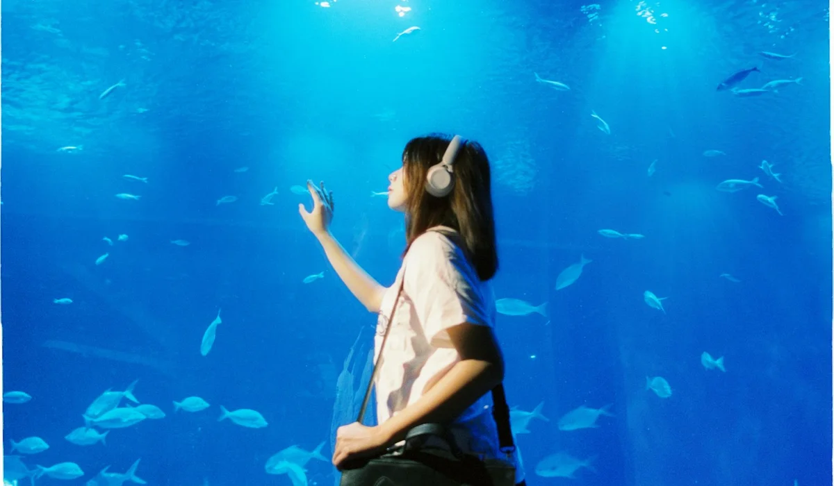Person wearing headphones standing beside a large home aquarium filled with fish in a bright blue water environment