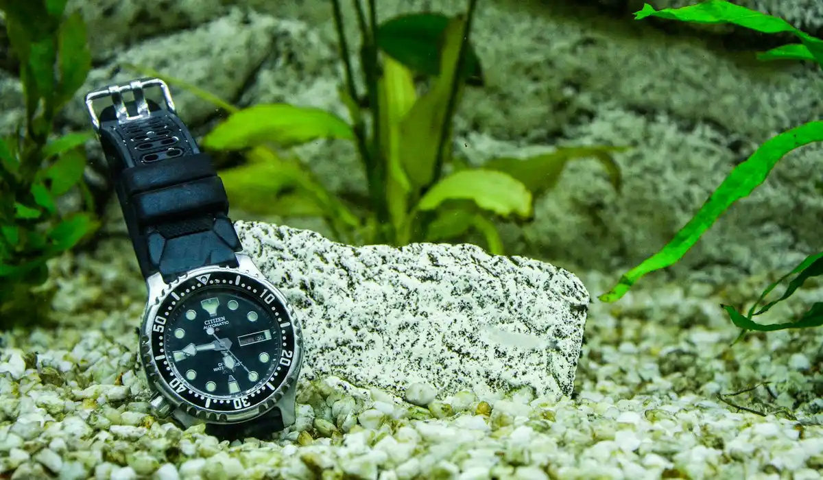 Close-up of gravel substrate with a rock and a wristwatch resting on it, with green aquatic plants in the background