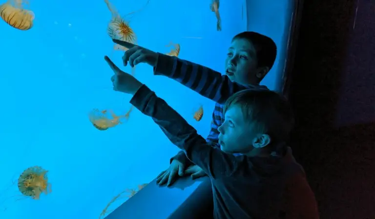 Two children observe jellyfish in a blue-lit aquarium, pointing at the tank.