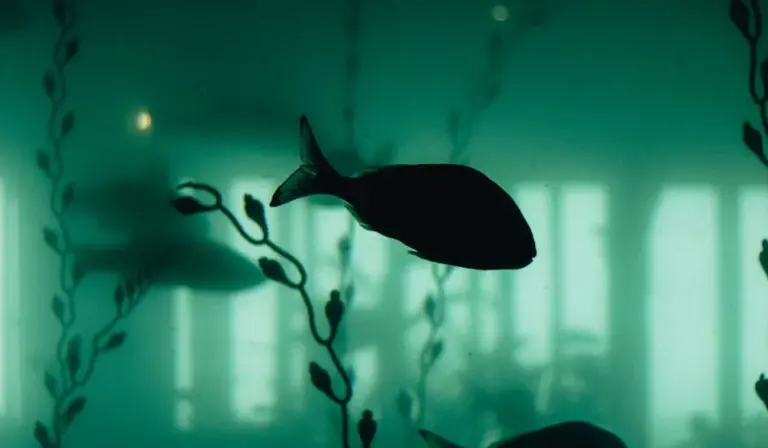 Silhouetted fish swimming in a teal aquarium with aquatic plants