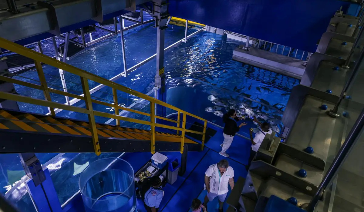 An indoor aquarium facility with blue-toned tanks and equipment; staff inspect gear around the tanks.
