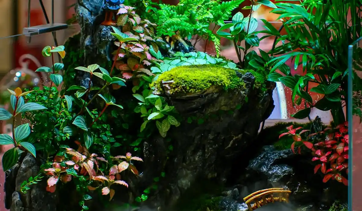 Lush freshwater planted aquarium with rocks and moss, showing mineral deposits on surfaces that may indicate hard water stains.