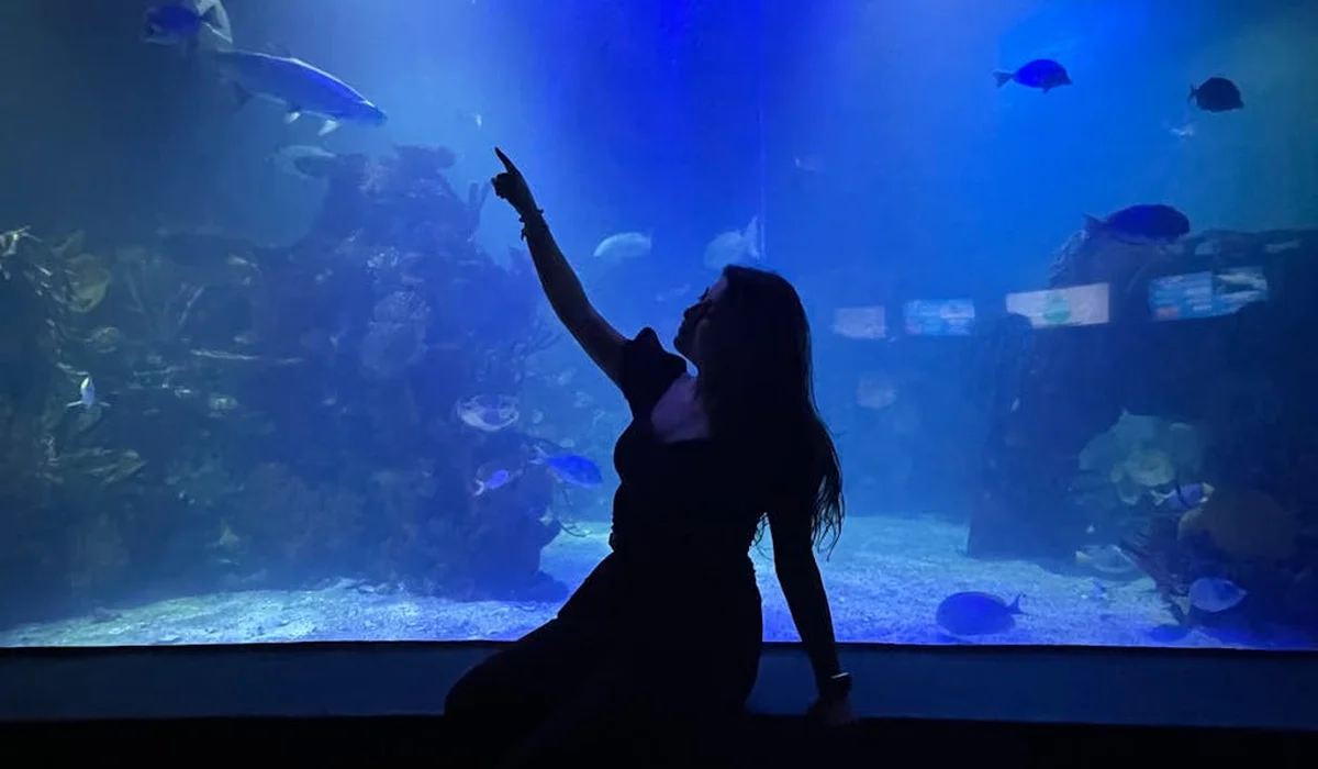 Silhouette of a person sitting by a large aquarium, watching colorful fish swim in a blue-lit tank.