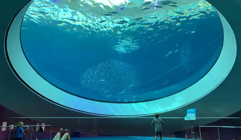 Inside an aquarium, a large circular viewing dome with visitors at the railing looking down into the underwater scene.