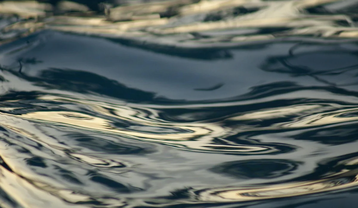 Close-up of rippling water surface in an aquarium