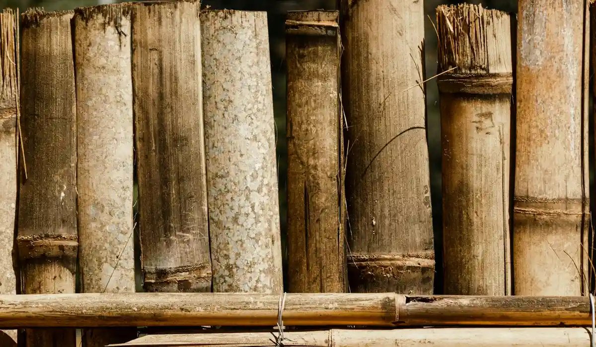 Vertical bamboo stalks tied with twine against a rustic background