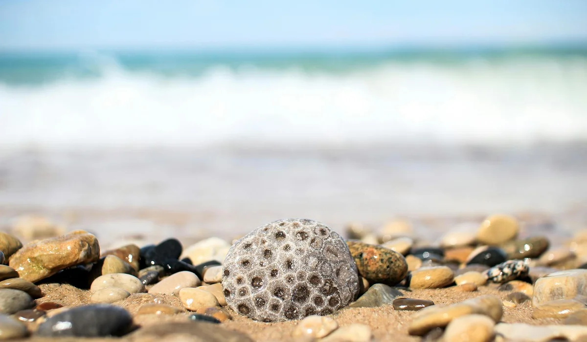 Close-up of a porous stone among smooth beach pebbles with the ocean in the background.