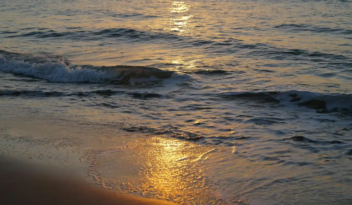 Sunlit beach with gentle waves washing onto the shore.