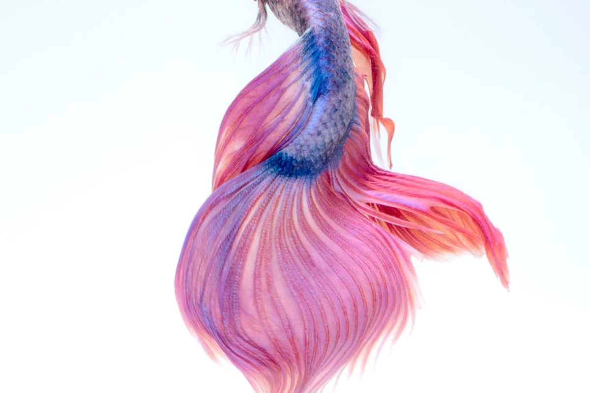 Smiling woman with a towel wrapped around her head, applying foamy face wash in a bathroom.