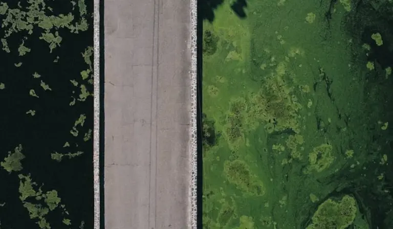 Aerial view of a bridge over a waterway showing two contrasting sides: dark, patchy water with scattered green growth on the left and bright green algae-covered water on the right.