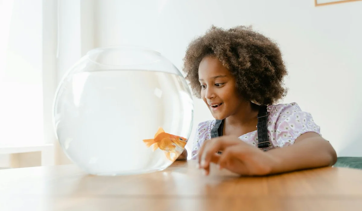 A young girl smiles as she looks at a round glass fishbowl with a goldfish on a wooden table.