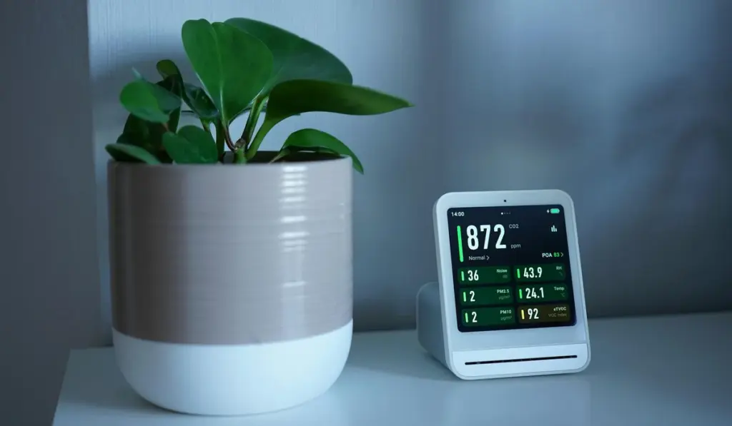 CO2 in Your Planted Tank: The Honest Guide to What Really Works