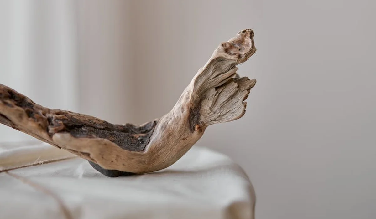 A weathered driftwood piece resting on a pale surface, prepared for aquascape setup.