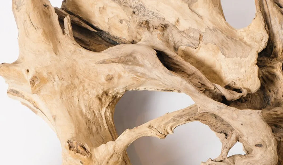 Close-up of light-colored driftwood with interconnected hollows and crevices, illustrating natural hiding spots for aquarium fish.