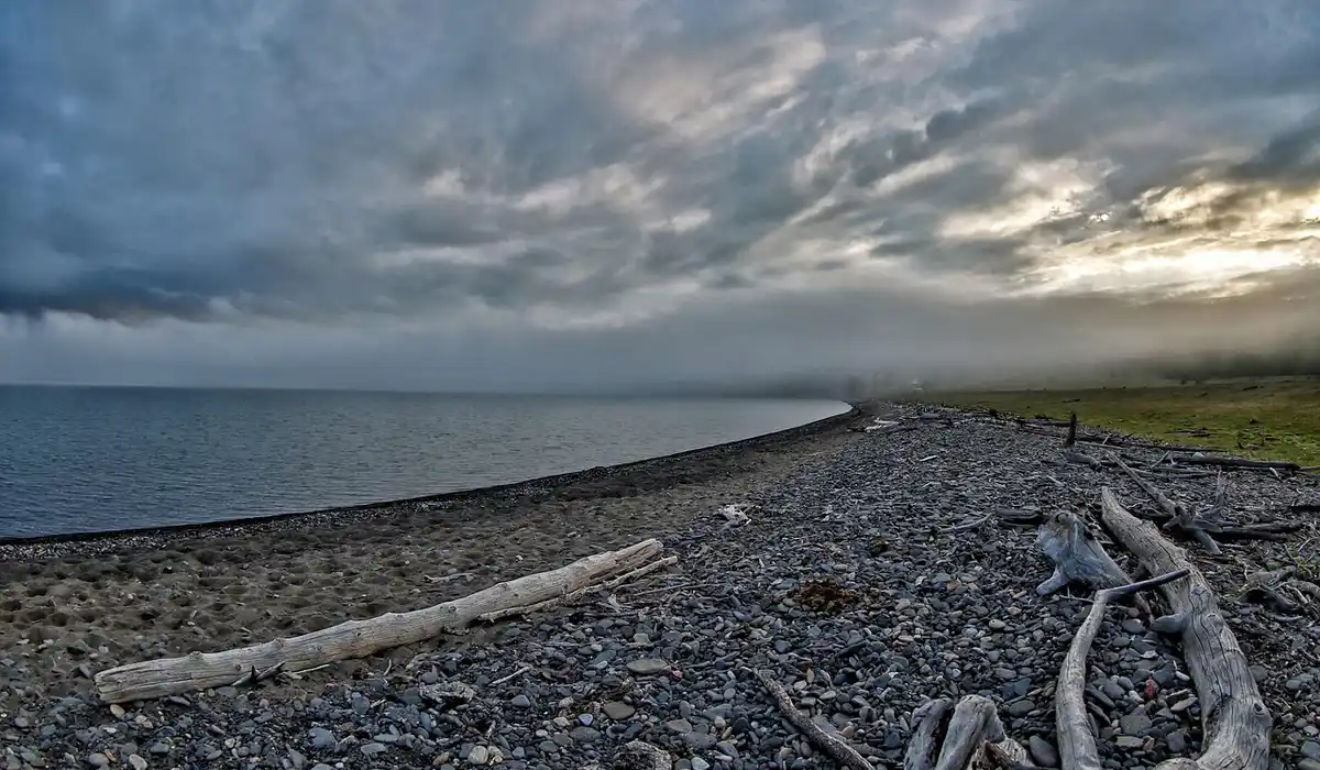 Overcast shoreline with weathered driftwood along a pebbled beach and calm water under dark clouds