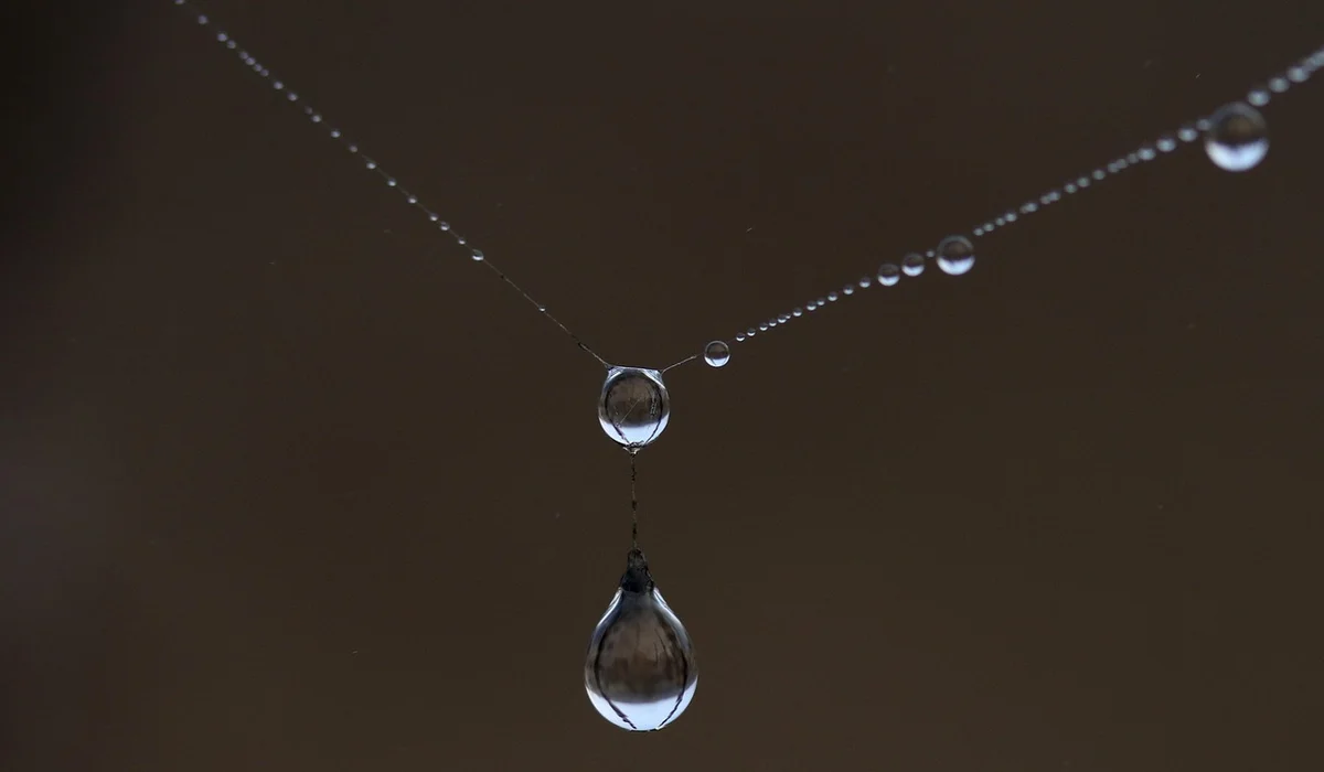 Macro photograph of a single water droplet hanging from a thin line with smaller droplets along the line.