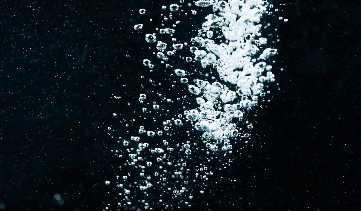 Dark aquarium water with clusters of bubbles rising, illustrating aeration during a power outage