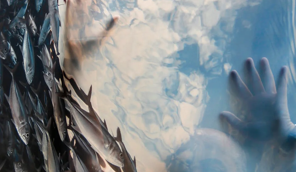 Hands pressed against the inside of a fish tank glass, with blue water and plant life visible.