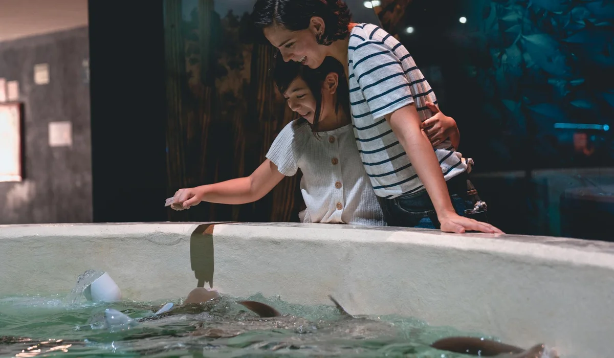 Two people leaning over a fish tank, inspecting it for signs of a leak.
