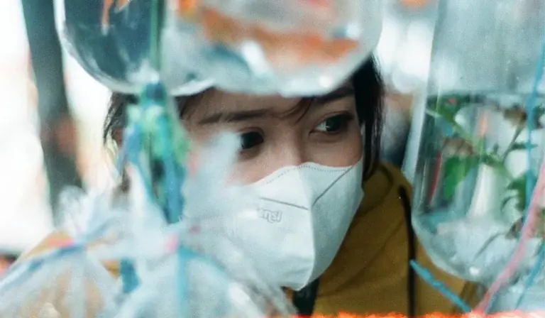 Person wearing a protective face mask peering through glass aquarium equipment, illustrating sanitation setup.