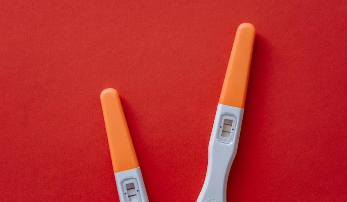 Two aquarium water testing strips with orange tips on a red background, ready for analyzing fish tank water quality.