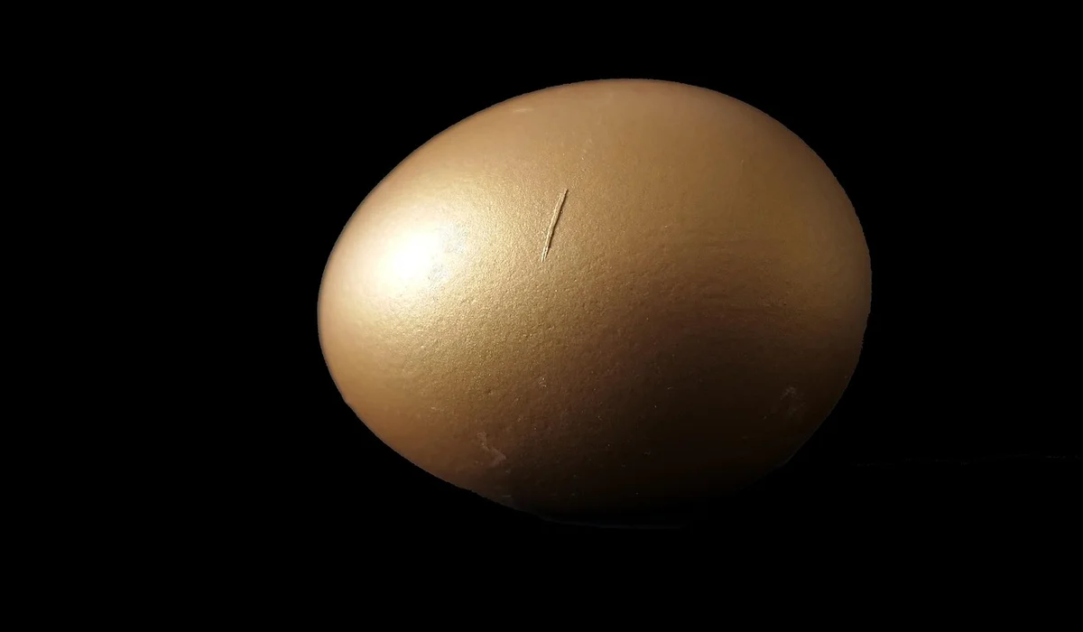 Close-up of a smooth golden egg resting on a dark surface, symbolizing snail eggs in an aquarium context.