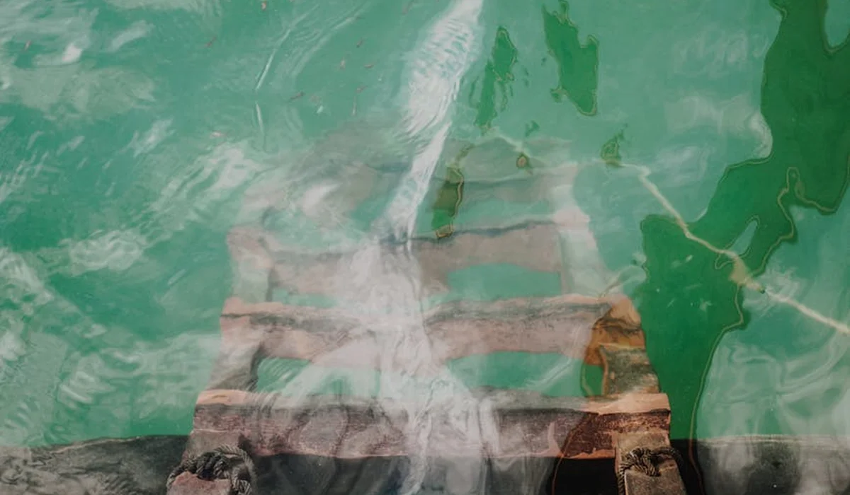 A homemade green water culture setup with a wooden frame and green plastic cover, used to cultivate infusoria for feeding fish fry.