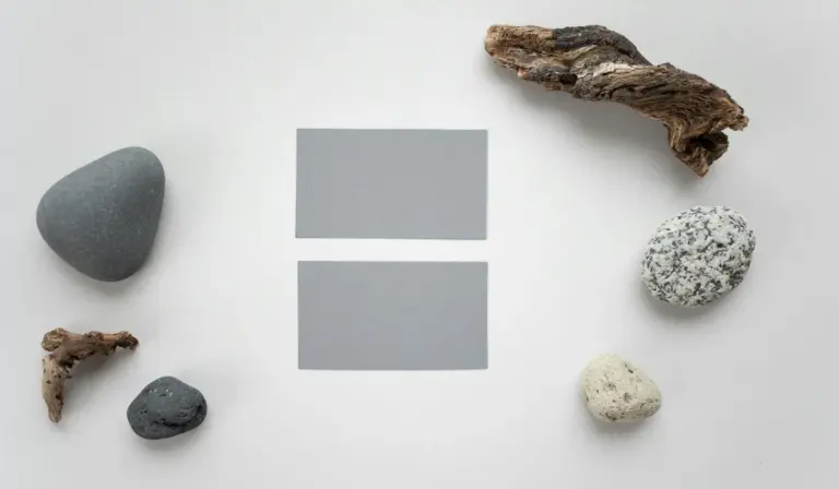 Arrangement of rocks, driftwood, and two gray sample cards on a white background, illustrating hardscape planning for aquascaping.