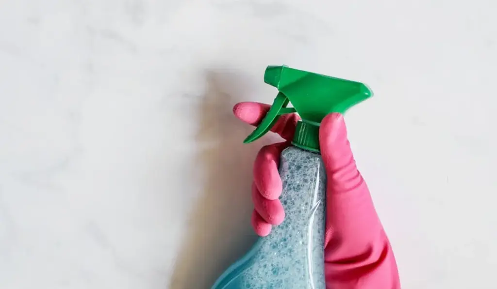 How to Add Ammonia for a Flawless Fishless Aquarium Cycle