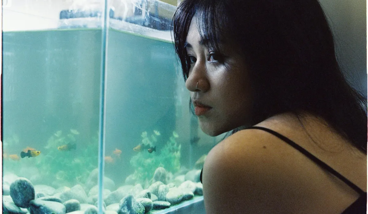 Person leaning over a glass aquarium, observing fish and rocks while cleaning to remove hard water stains