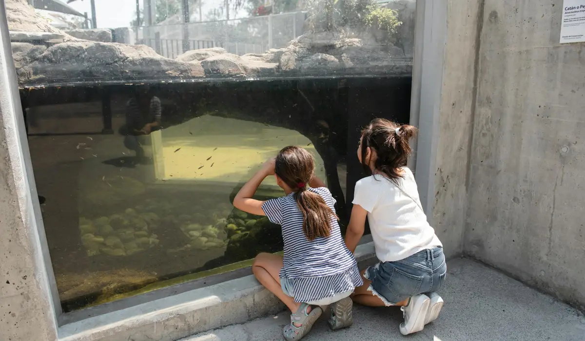 Two children kneeling by a glass fish tank, peering inside as they prepare to wash and set up a new aquarium.