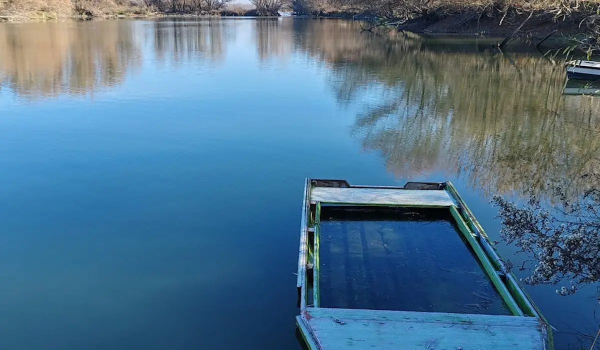 Calm lake with a small weathered boat near the shore, reflecting the surrounding trees and sky.