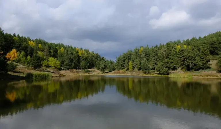 Calm lake reflecting a forested shoreline under a cloudy sky