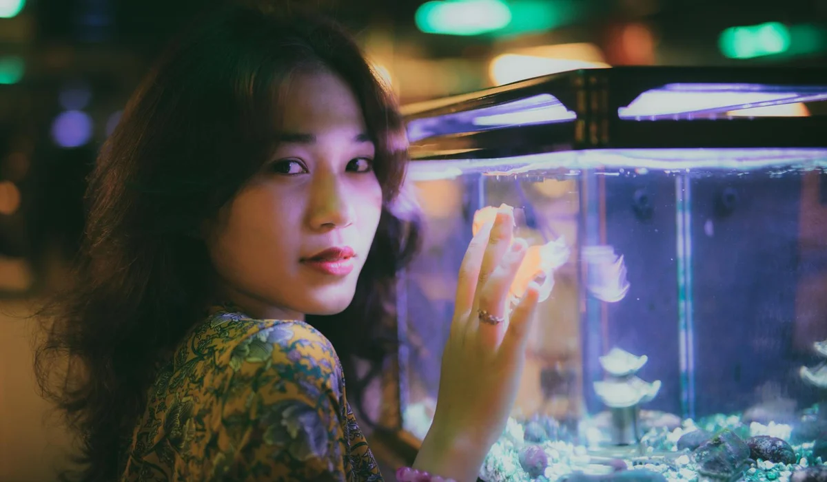 Woman looking at a home aquarium with fish and decorations