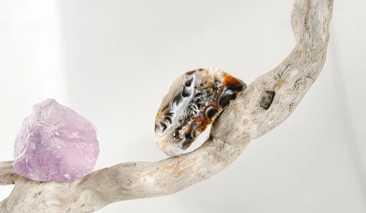 Driftwood branch with a purple amethyst crystal on a pale background