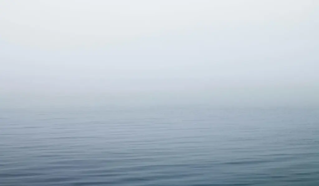 The Surprising Truth About Oxygen in Your Aquarium