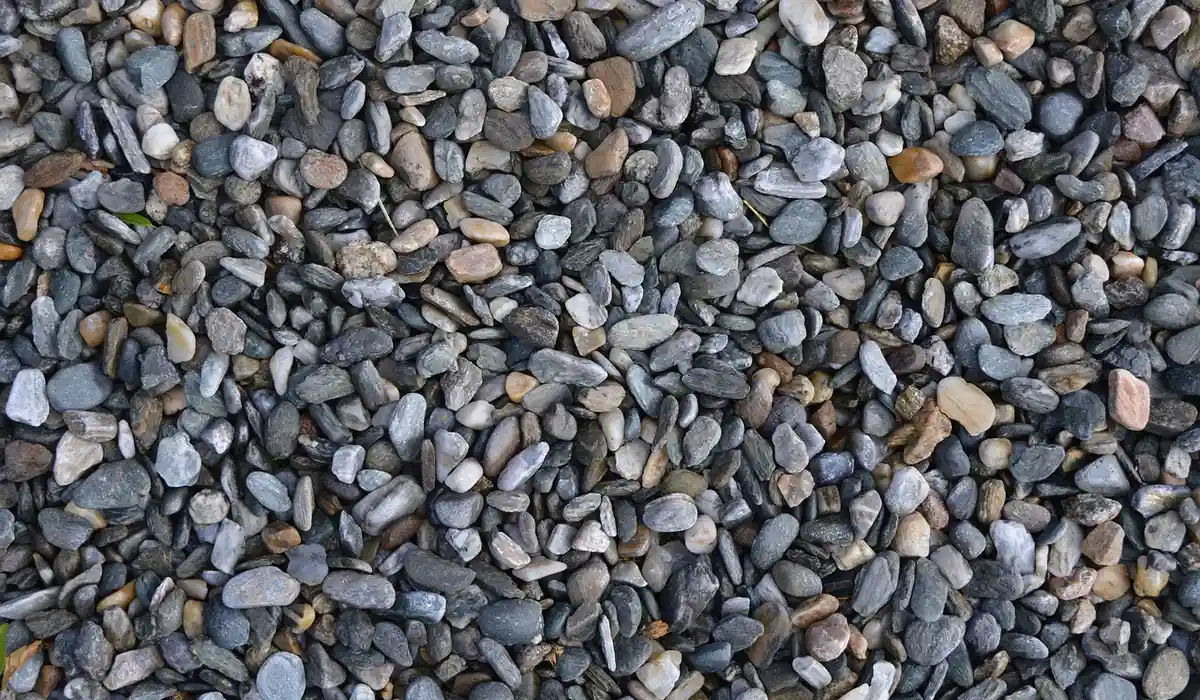 Close-up of small, smooth pebbles in varying gray, tan, and brown colors forming a gravel substrate.