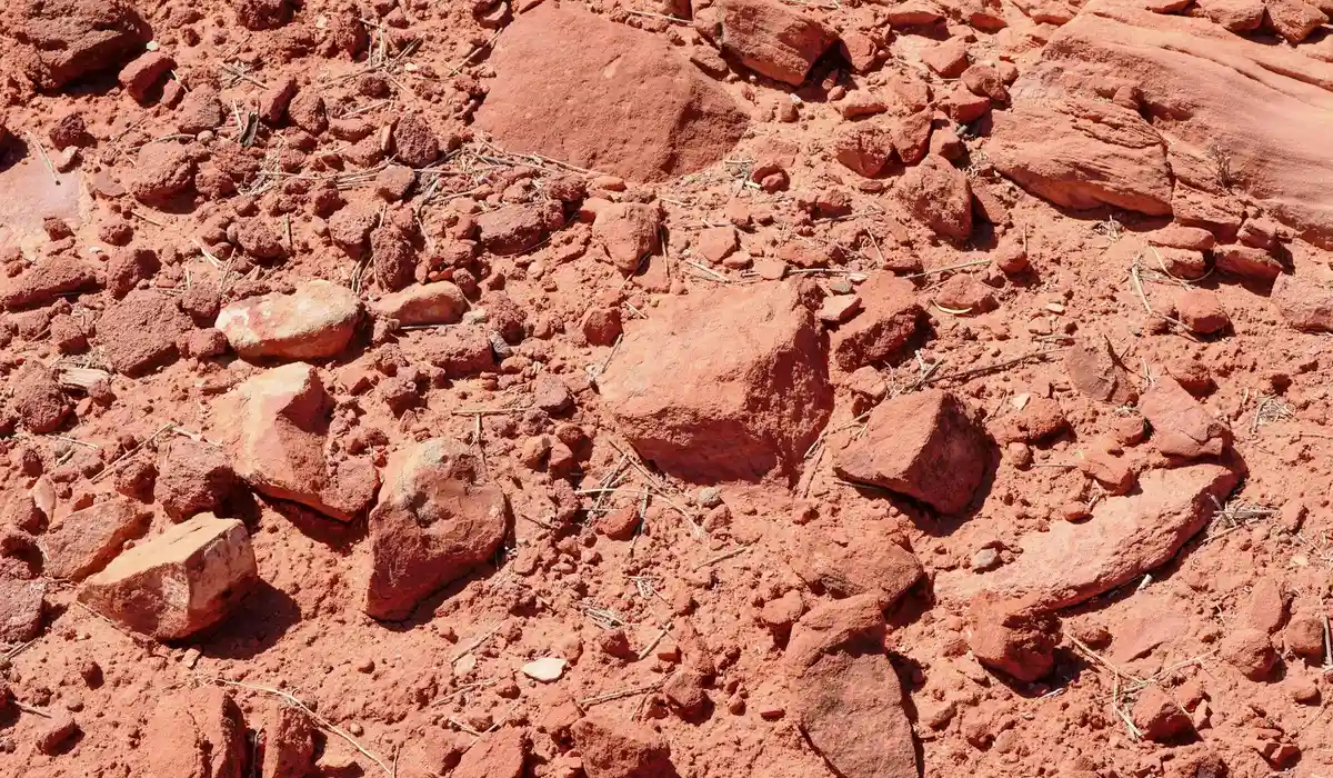 Close-up of a red, rocky soil substrate with uneven texture and scattered small stones