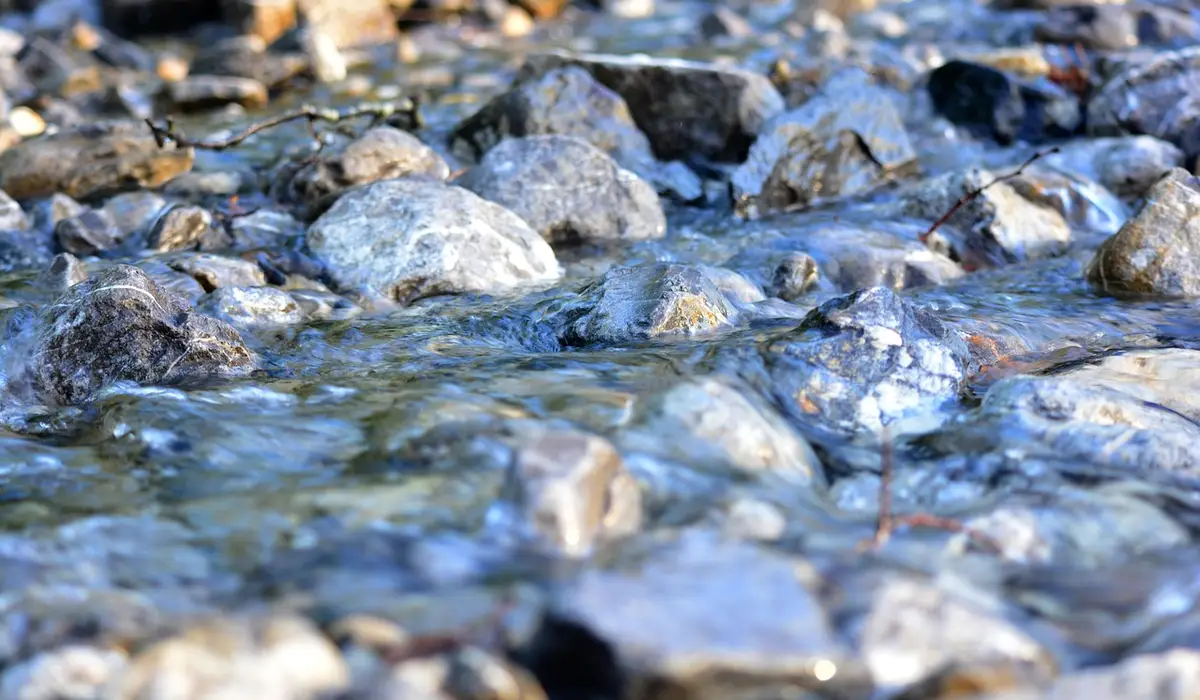 Close-up of wet rocks with clear water, resembling a natural aquarium substrate.