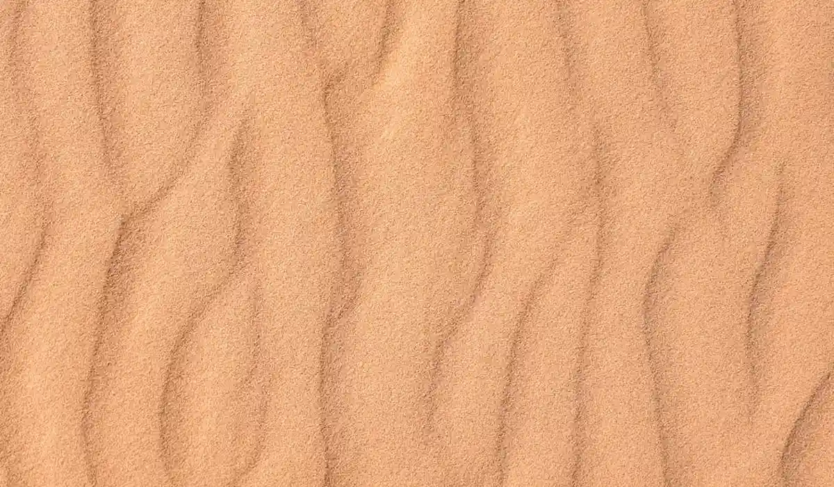 Close-up of fine sand with ripple patterns