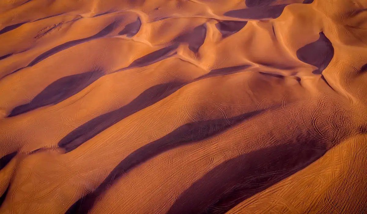 Close-up of wind-sculpted desert sand forming smooth ridges and ripples