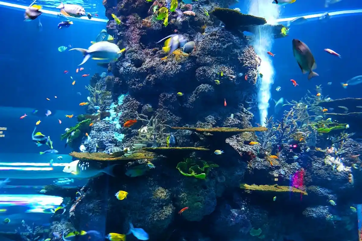 Smiling woman with a towel wrapped around her head, applying foamy face wash in a bathroom.