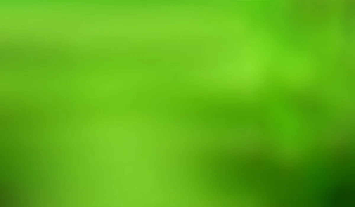 Abstract blurred green background hinting at lush aquatic life and plants