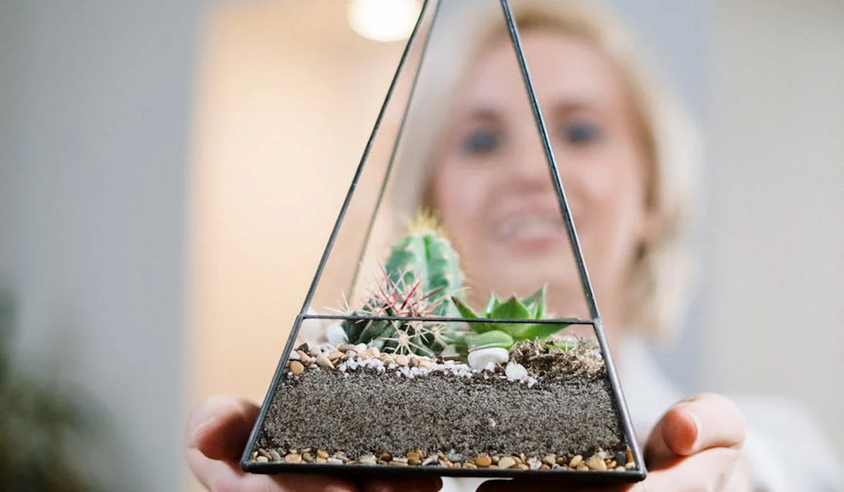 Glassy geometric terrarium with soil, pebbles, and succulent plants held by hands, illustrating an aquarium repurposed into a terrarium.