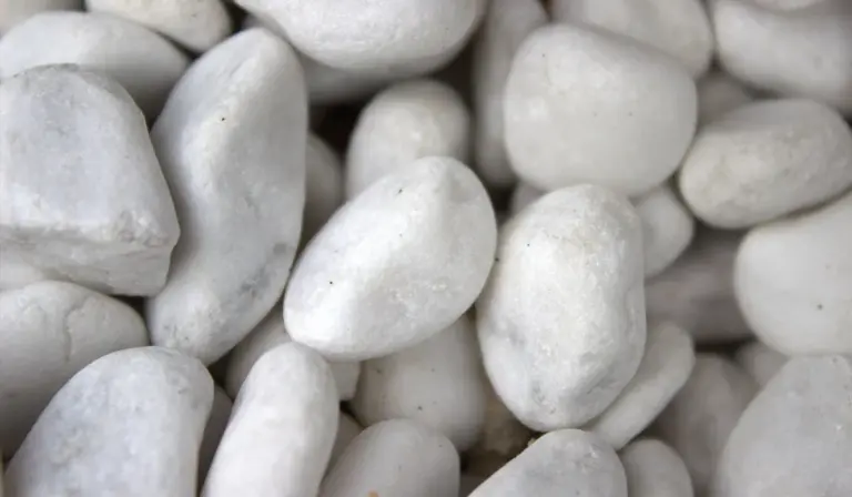 Close-up of smooth white pebbles used as substrate