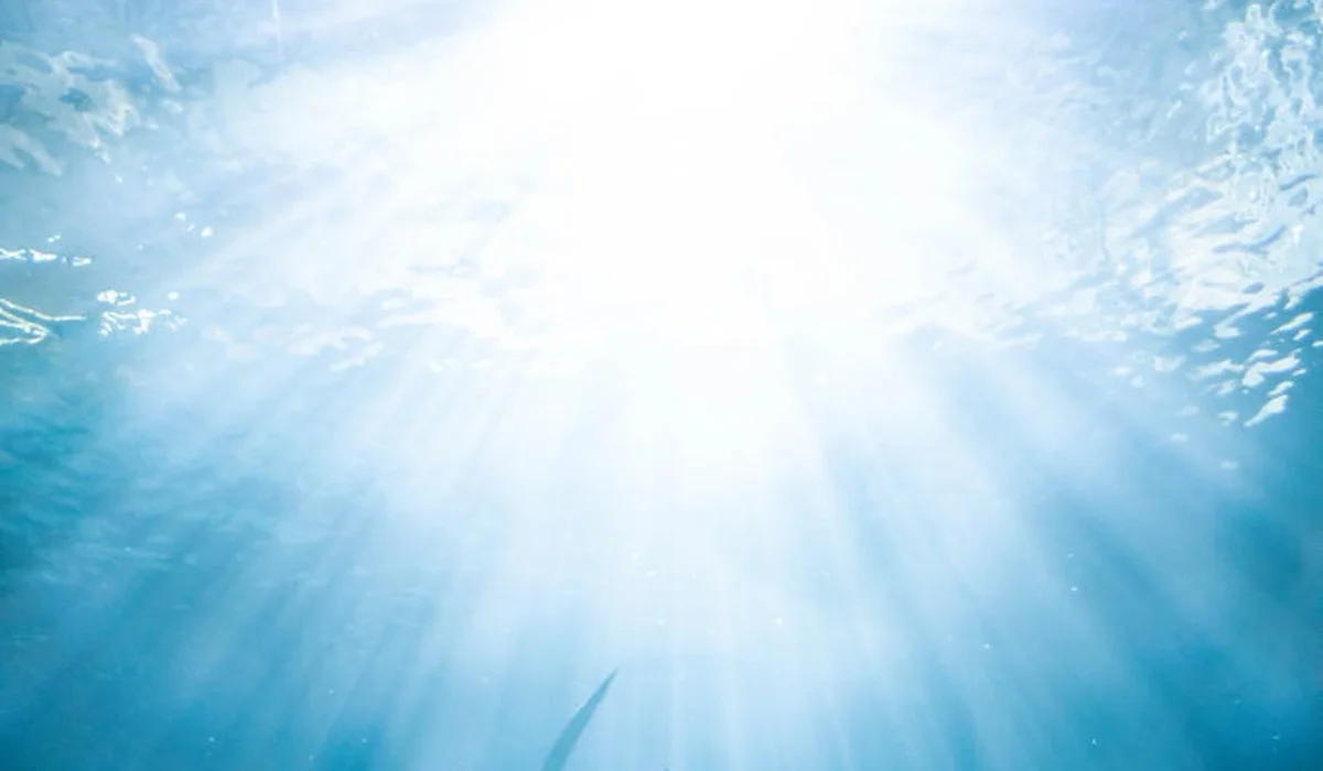 Underwater scene with bright sunlight filtering through blue water and a subtle shark silhouette near the bottom left.