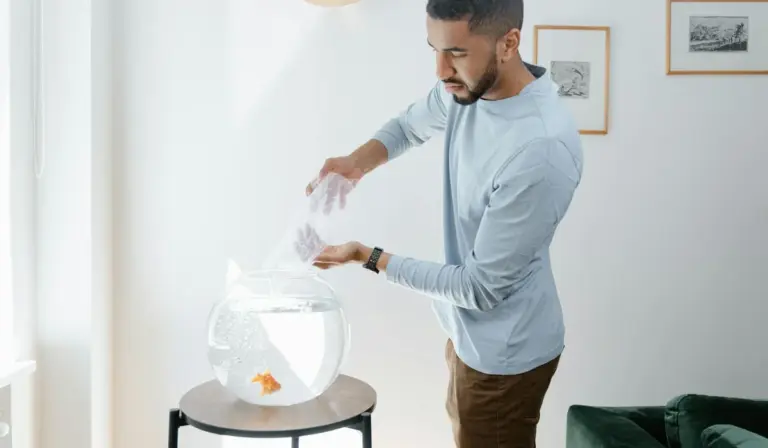 A man in a light blue sweater stands by a small round fishbowl on a stand, adding water or supplies into the bowl in a bright living room.