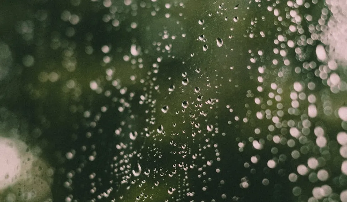 Close-up image of numerous water droplets on a glass surface with a blurred green background.