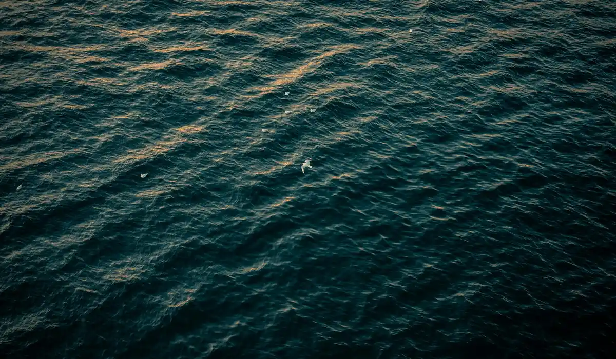 Close-up of a dark blue-green water surface with gentle ripples and light reflections.