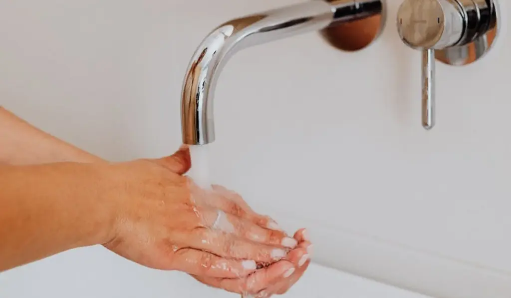 Beyond the Filter: Why Water Flow is Your Aquarium’s Silent Superpower